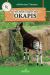 All You Need to Know about Okapis All You Need to Know about Okapis