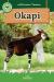 Okapis Okapis