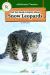 All You Need to Know about Snow Leopards All You Need to Know about Snow Leopards
