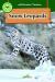 Snow Leopards Snow Leopards