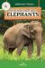 All You Need to Know about Elephants All You Need to Know about Elephants