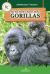 All You Need to Know about Gorillas All You Need to Know about Gorillas