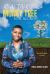 Real Talk Money Tree Soil and Crop