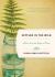 Settled in the Wild : Notes from the Edge of Town