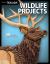 Wildlife Projects : 28 Favorite Projects and Patterns