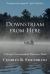 Downstream from Here : A Foreign Correspondent Discovers Home