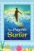 The Psychic Surfer : Exploring the Physics of Attention