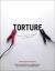 Torture : Does It Make Us Safer? Is It Ever OK?: a Human Rights Perspective Torture : Does It Make Us Safer? Is It Ever OK?: a Human Rights Perspective