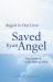 Saved by an Angel : True Stories of God's Hand at Work