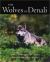 Wolves of Denali Wolves of Denali