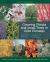 Growing Shrubs and Small Trees in Cold Climates : Revised and Updated Edition