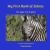 My First Book of Zebras