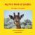 My First Book of Giraffes