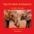 My First Book of Elephants