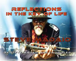 Reflections in the Key of Life : The Autobiography of Steve Madaio