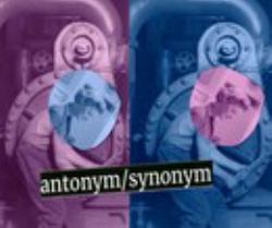 Antonym/synonym