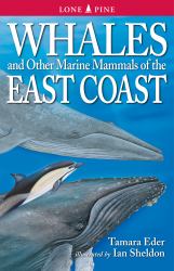 Whales and Other Marine Mammals of the East Coast