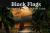 Black Flags : The Nautical Tale of William Teach