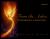 From the Ashes : The Documents of a Jewish Family - Volume 2