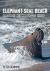 Elephant Seal Beach : Giants of the California Coast