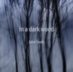 In a Dark Wood