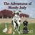 The Adventures of Moody Judy