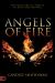 Angels of Fire : The Ministry of Angels in End-Time Revival