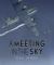 A Meeting in the Sky