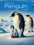 Emperor Penguin : The Amazing Emperor Penguin