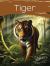 Tiger : The Amazing Tiger