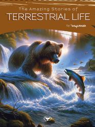 The Amazing Stories of Terrestrial Life (Set 1) : Five Amazing Stories of Elephant, Tiger, Grizzly Bear, Koala, Eagle