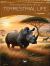 The Amazing Stories of Terrestrial Life (set 2) : Five Amazing Stories of Lion, Panda, Rhino, Polar Bear, Brown Pelican