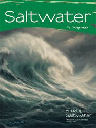 Saltwater : Amazing Saltwater