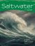 Saltwater : Amazing Saltwater