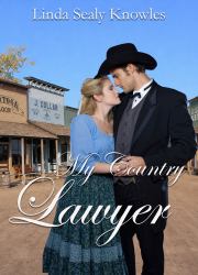 My Country Lawyer