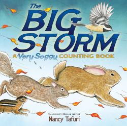 The Big Storm : A Very Soggy Counting Book