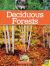 Deciduous Forests