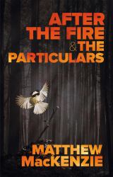 After the Fire and the Particulars