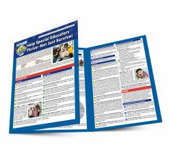 95 Tips to Help Special Educators Thrive-- Not Just Survive!