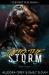 Into the Storm Into the Storm