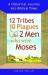 12 Tribes, 10 Plagues, and the 2 Men Who Were Moses : A Historical Journey into Biblical Times