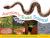 Awesome Snake Science! : 40 Activities for Learning about Snakes