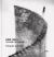 June Leaf: the Work Isn't Finished : Photographs by Jem Cohen