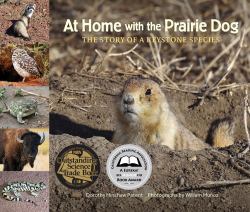 At Home with the Prairie Dog : The Story of a Keystone Species