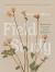 Field Study : Meditations on a Year at the Herbarium