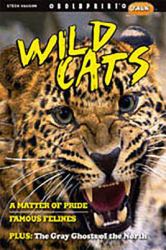 Wild Cats