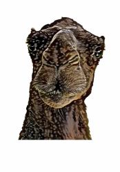 A Canvas for - Whatever You Want - 4x6 - Ship of the Desert : Your Personal Art Book