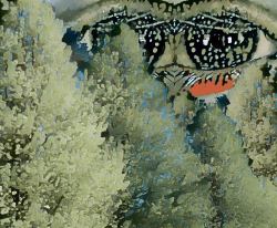 A BIG Canvas for - Whatever You Want - 11x8 - I See the Forest : Plain Pages Inside