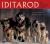 Iditarod : The Great Race to Nome