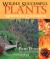 Wildly Successful Plants : Northern California